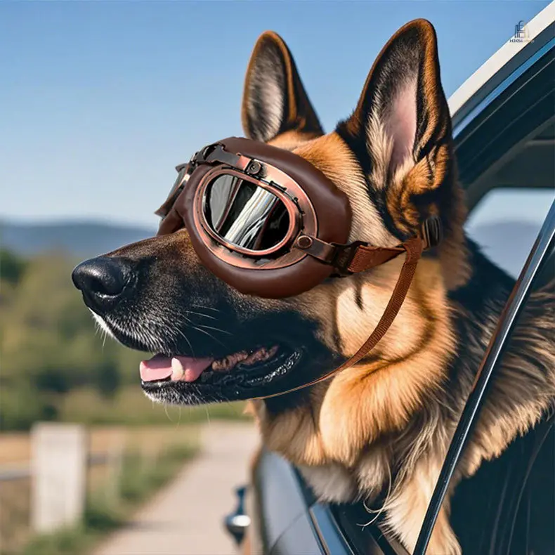 Vintage Foldable Dog Goggles, Windproof Pet Sunglasses, Protective Eyewear Fit German Shepherd, Border Collie, Golden Retriever for Outdoor Sunny Windy Days