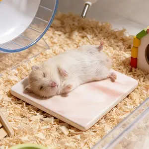 High Aesthetic Marble Pattern Ice Bed for Hamsters and Mice, Durable Bite-Resistant Pet Cage Cooling Accessory, Essential Summer Item