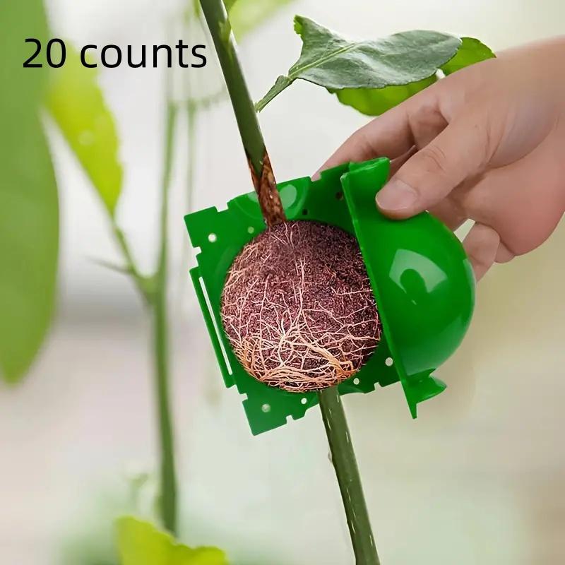 Plant Rooting Ball, 20pcs Rooting Ball Grafting Tool, High Pressure Plant Propagation Ball, Plant Cutting Rooting Ball Device, Garden Supplies #TOP PICKS