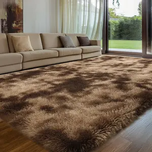 Shag Area Rugs for Bedroom Living Room,Ultra Soft Fluffy Area Rugs for Dorm, Indoor Carpet Nursery Rugs for Kids Room Home Decor