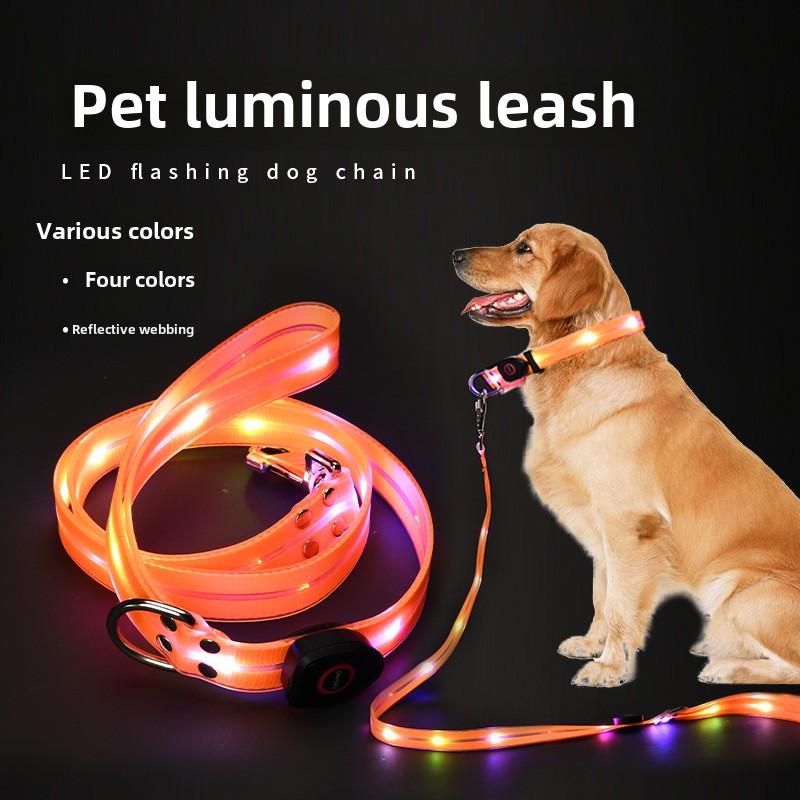 【Pet Essential】USB rechargeable luminous leather belt LED flashing collar with adjustable brightness, extremely cool. christmas  collar light  up Adjustable LED iyoshop  dog harness