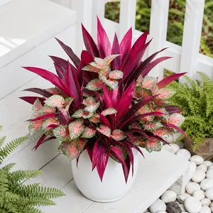 4-Piece Artificial Dragon Blood Tree & Perilla Leaf Set, UV Resistant, Fade-Free Plastic Plants for Home Decor, Garden, Festivals