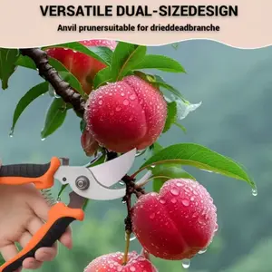 Pruning Shears for Fruit Trees, Branch Cutter, Garden Tool, Professional Pruner, Easy-To-Use Fruit Picker, Floral Scissors