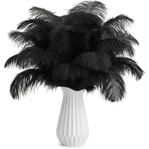 20Pcs Black Ostrich Feathers 8-10'' Bulk Feathers for Decoration, Wedding Centerpieces, Mother's Day, Crafts, Carnival, Party Decor, Floral Arrangement, Bohemian Home Decor (Black)