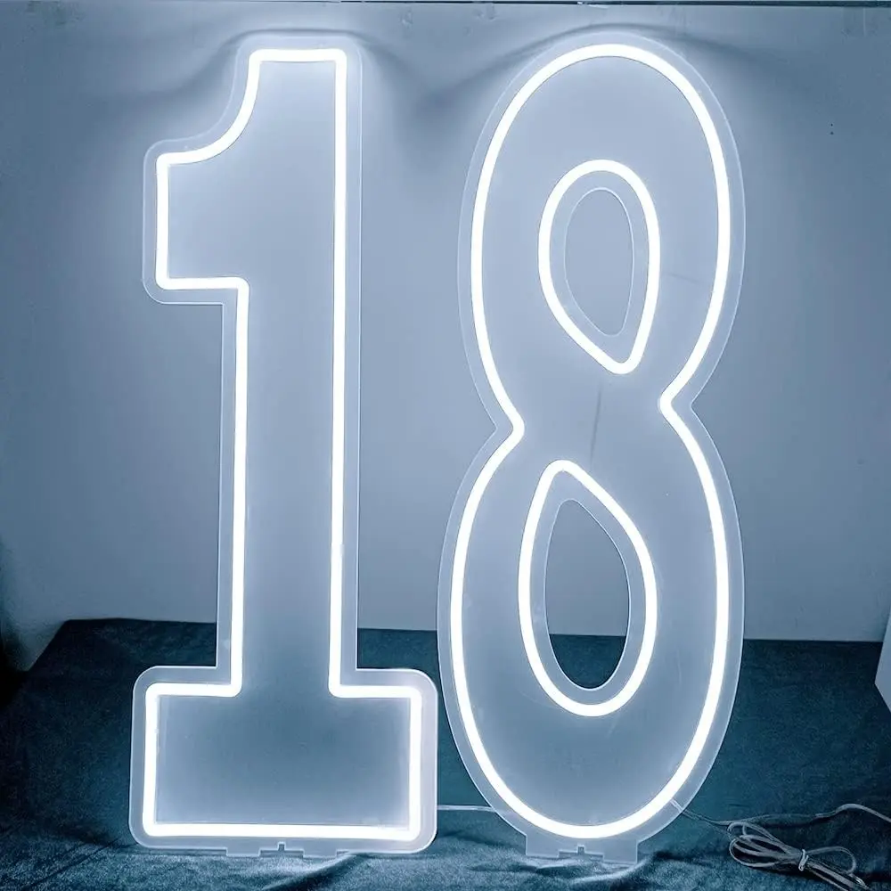 0-9 Digital Neon Light, USB Powered Adjustable Brightness, Romantic Fairy Wall Lamp for Girls, Ideal for Birthday Parties, Weddings, Unique Gift, Decorative Neon Light