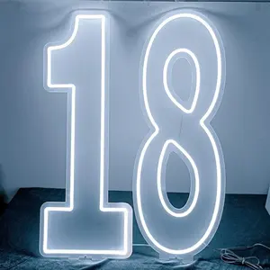 0-9 Digital Neon Light, USB Powered Adjustable Brightness, Romantic Fairy Wall Lamp for Girls, Ideal for Birthday Parties, Weddings, Unique Gift
