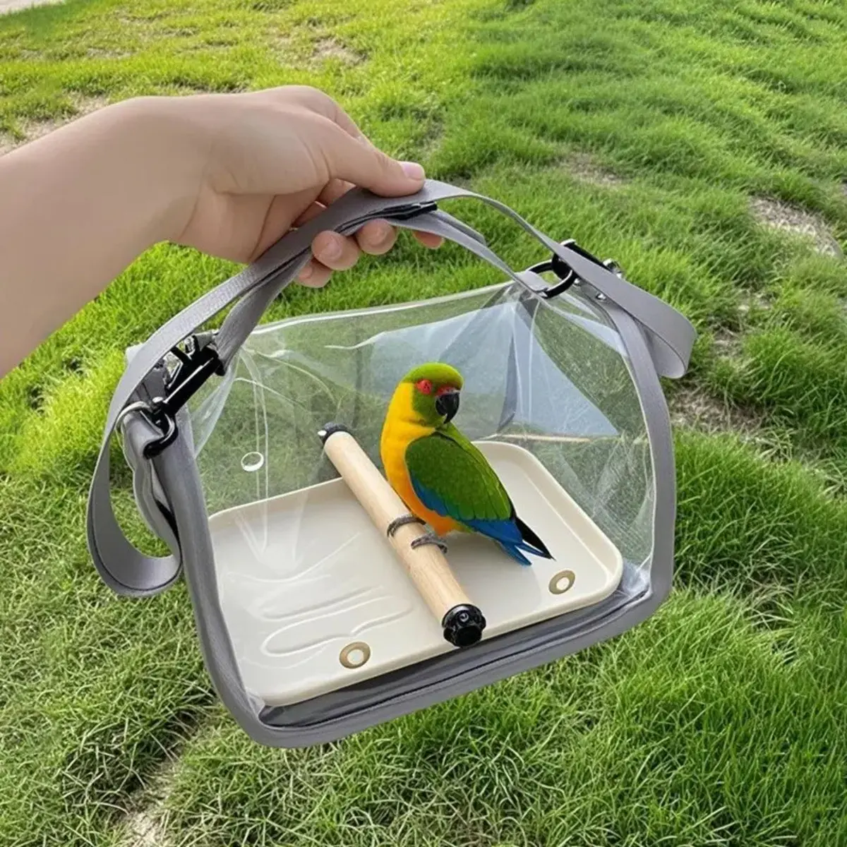 Portable Bird Cage Travel Backpack, Foldable Small Pet Carrier with Handheld Design for Parrots, Hamsters, Hedgehogs and Chinchillas, Outdoor Travel