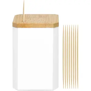 Toothpick Holders 1 Pack with 600 Picks,Round Toothpicks Double-Side Point for Teeth,Food Pick,Appetizers,Cocktails Fruits,Olive&DIY Craft.
