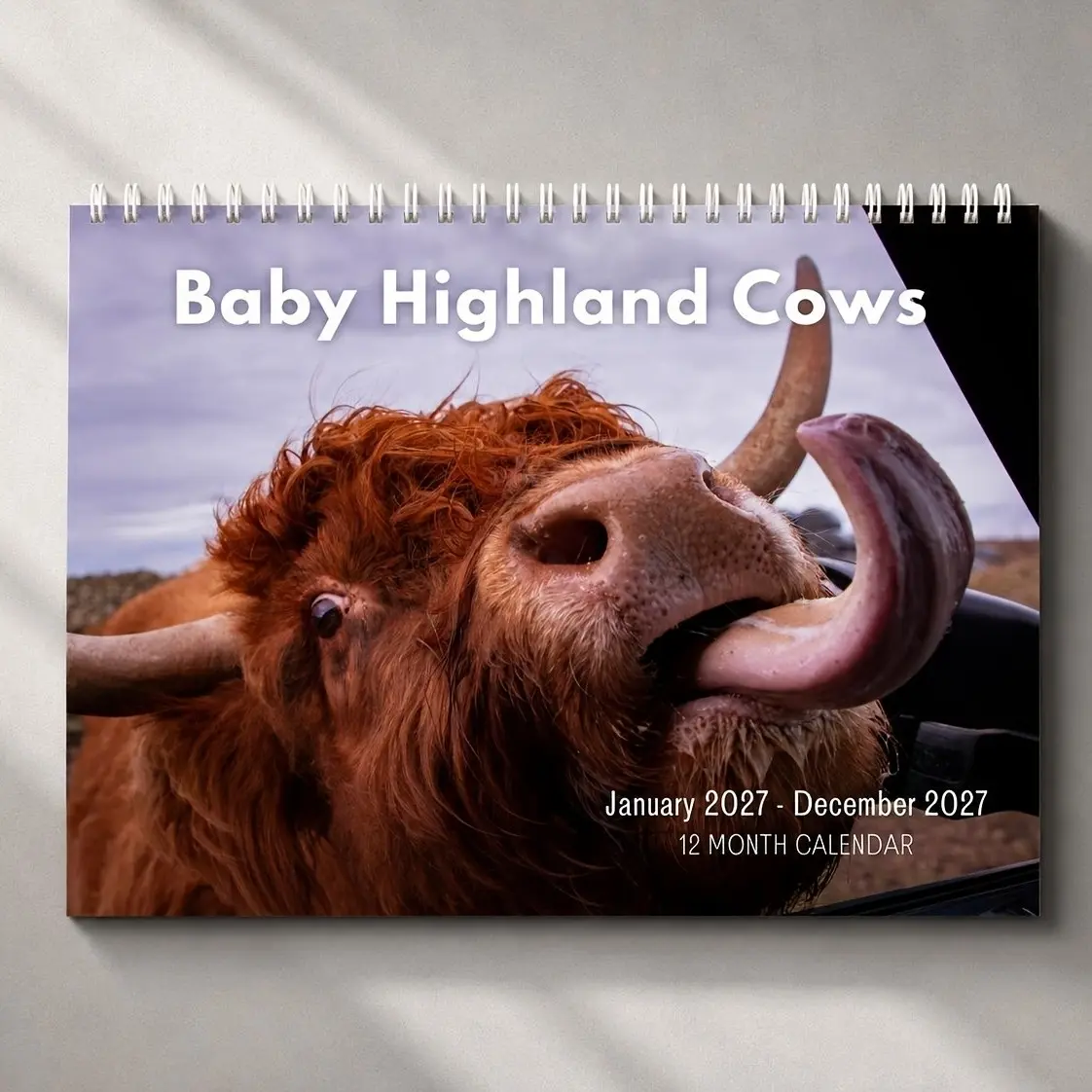 2027 Baby Highland Cows Wall Calendar, Cute Highland Cow Farm Animal Calendar, 12 Month Large Monthly Calendar, Rustic Farmhouse Gift