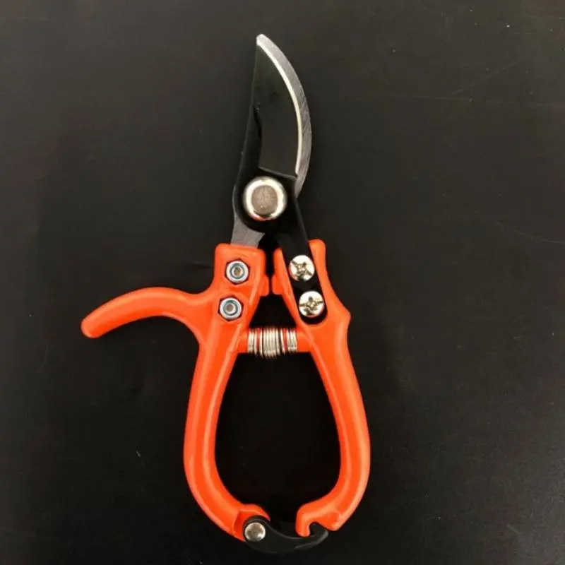 1pc Branch Pruning Scissors, Garden Pruning Scissors, Warehouse Cleaning, Household Labor-saving Flower Pruning, Branch Building, Flower Scissors, Pruners