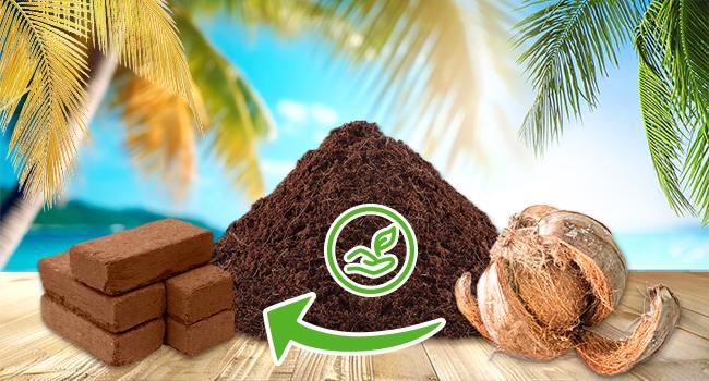 6pcs Organic Coco Coir Bricks Soil Blocks- 100% Natural Compressed Coco Peat Brick Fiber Substrate with Low EC& pH, High Expansion Coco Coir Pith Husk for