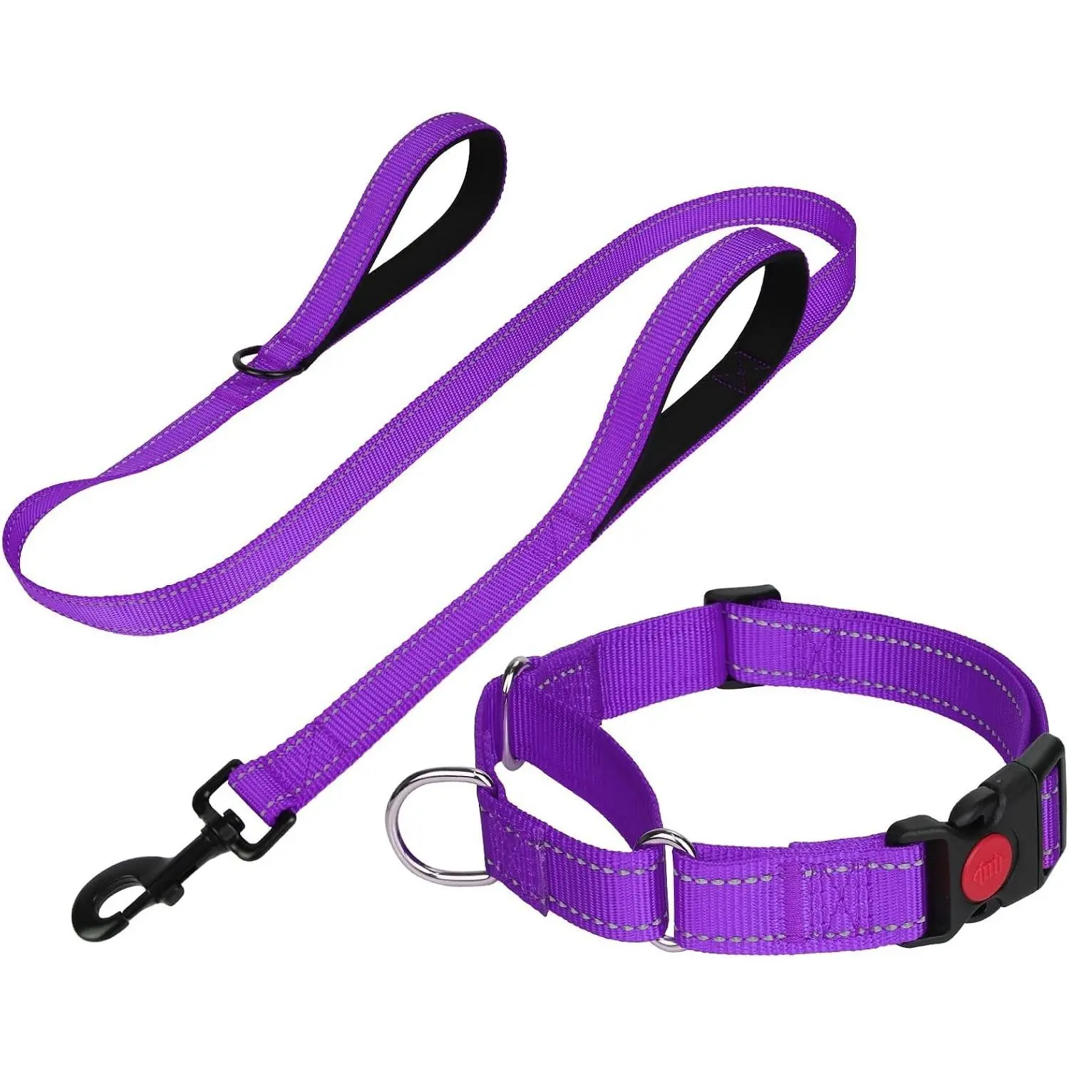 Martingale Dog Collar & Leash Set for Medium Dogs - Locking Buckle for Slip Prevention, Dual Handle for Instant Control, Reflective Stitch for Night Visibility, Ideal for Training & Parks, Purple