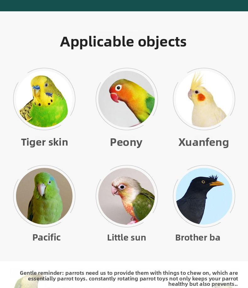 Parrot Rolling Toy for Small Medium Birds, Balance Skateboard Toy for Feet Skill Training, Pet Bird Entertainment Supplies, Cage Climbing Activity Prop, Chewable Interactive Toy