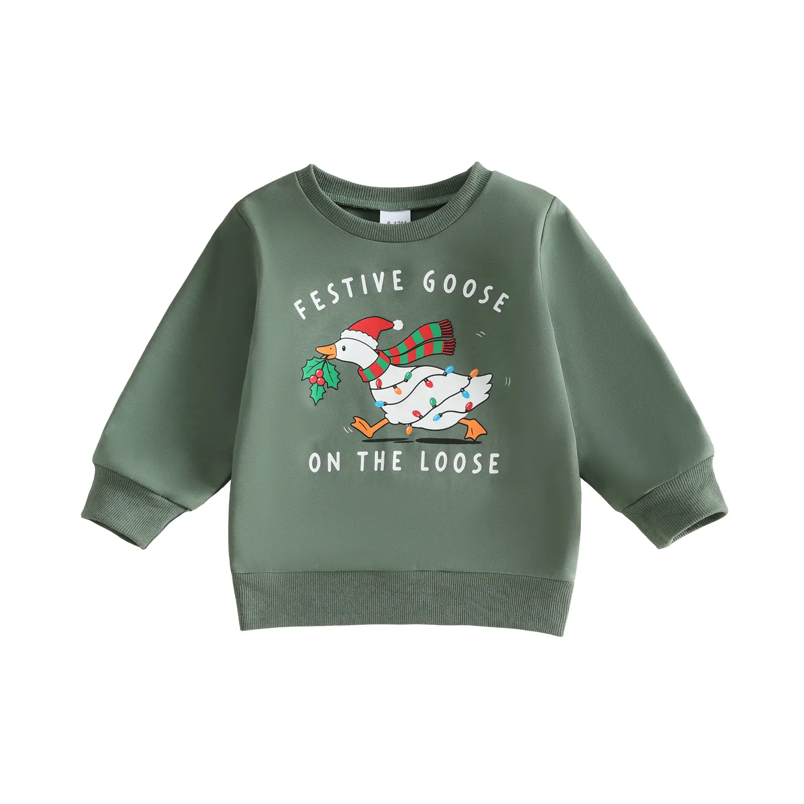 Toddler Baby Little Boy Christmas Sweatshirt Long Sleeve Crewneck Goose Print Tops Fall Winter 1-6 Years