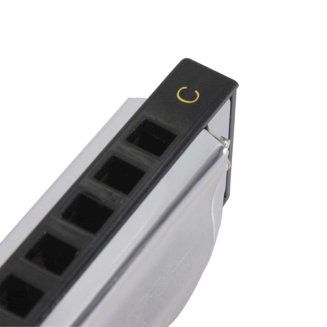 10 hole blues harmonica full scale blues CG key 20 tune harmonica beginner