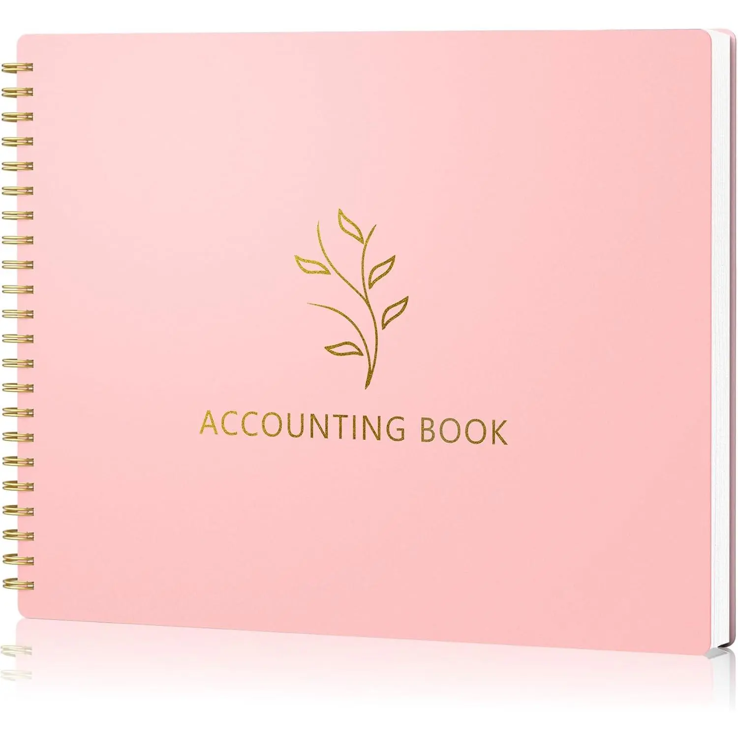 Accounting  Book for Small Business Bookkeeping Personal Use, Horizontal Expense  Notebook for Family Budget, Bookkeeping Record Book  Expense Income Log Journal, Blush
