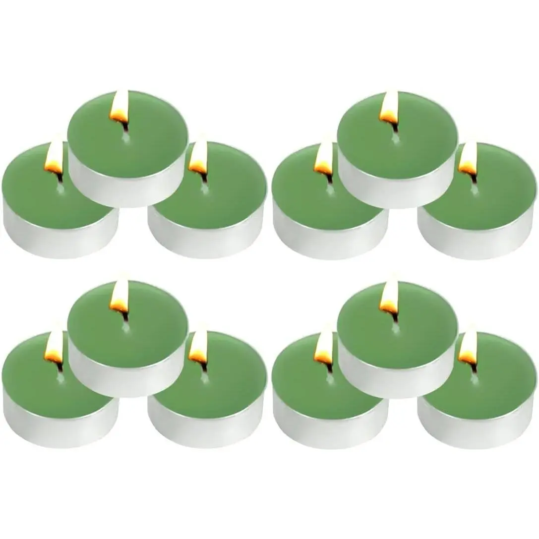12 Pack Scented Tea Lights Candles for Home, Parties | Small tealight candles for wedding,dinner table,halloween christmas and holiday green tea