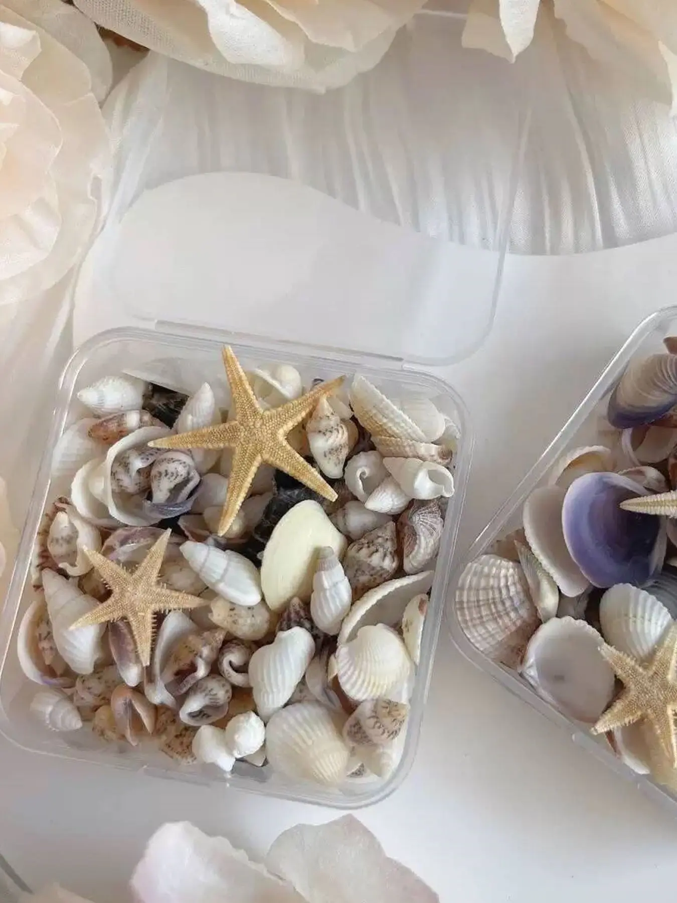 1box Mixed Resin Starfish And Shells,  Shell Decoration Additions for Craft Enthusiasts, Suitable for Fish Tank And Aquarium Substrate Fill, Drift Bottle Micro-Landscape Creations, Resin Liquid Mold Filler, DIY