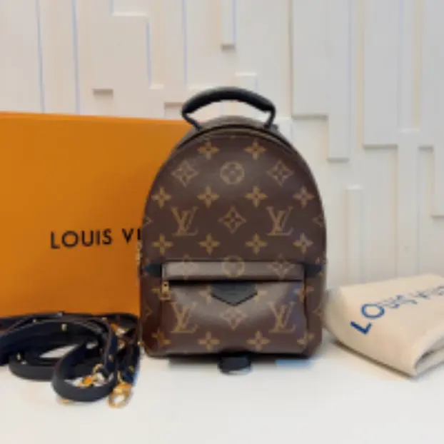 Pre-owned LouisVuitton*/Backpack/YYB1729027
