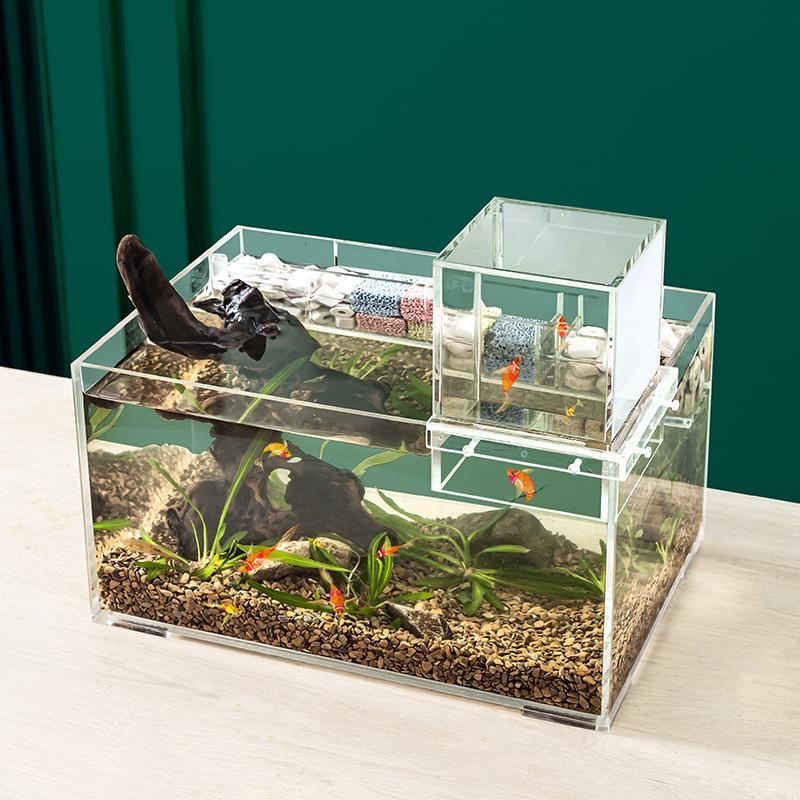 Wall Mounted Negative Pressure Fish Tank Acrylic Small Vacuum Floating Top Mounted Ecological Creative Decorative Small Fish Tank