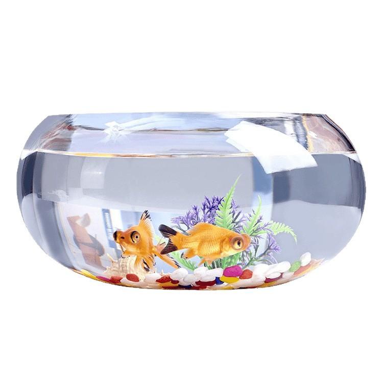 Creative Round Transparent Glass Aquarium Tank - Hydroponics Compact 20*10cm, Easy Access for Fish, Home Decor for Office Desks, Options: 20 Drum Cylinders+6-Piece Colored Stones Set, 30 Drum Cylinders+Colored Stones+Fish Food Set, Turtle