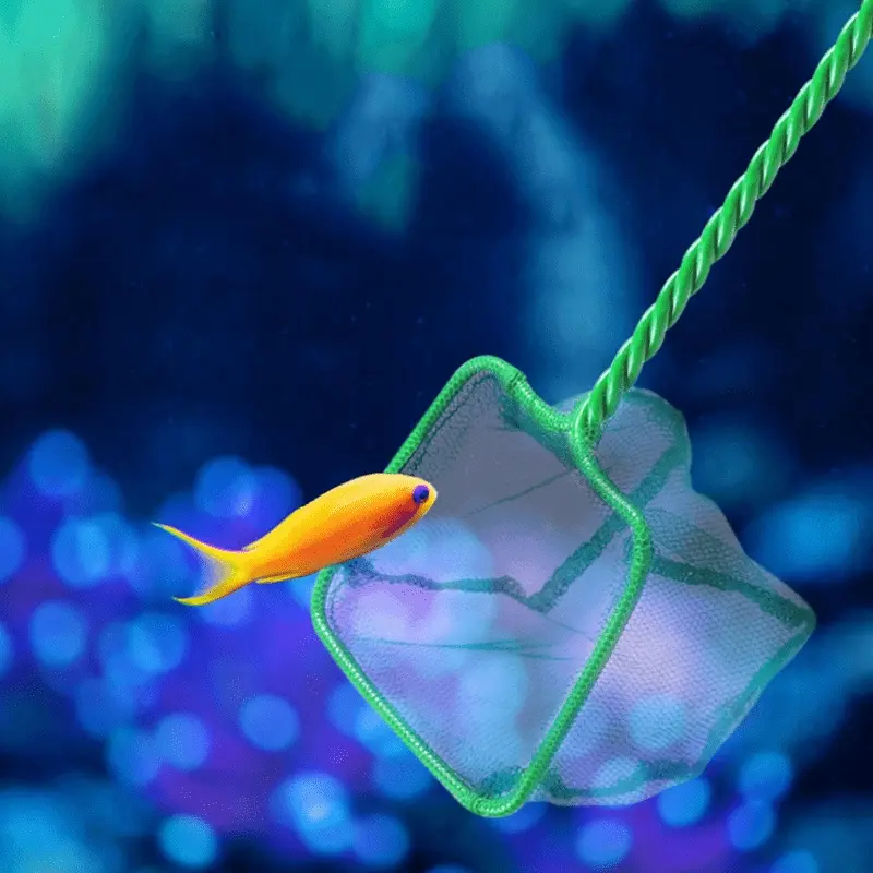 1pc Aquarium Fishing Nets, Long Handle Square Portable Aquarium Fishing Net Landing Net Aquarium Accessories, Fish Tank, Fish Fishing Net, Round Square Fish Fishing for Fish Floating Objects Crab Fish