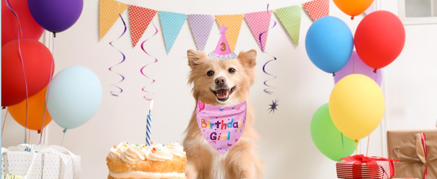 Dog Birthday Decorations, Dog Birthday Hat with Numbers for Large Medium Small,Pet Supplies (Pink)