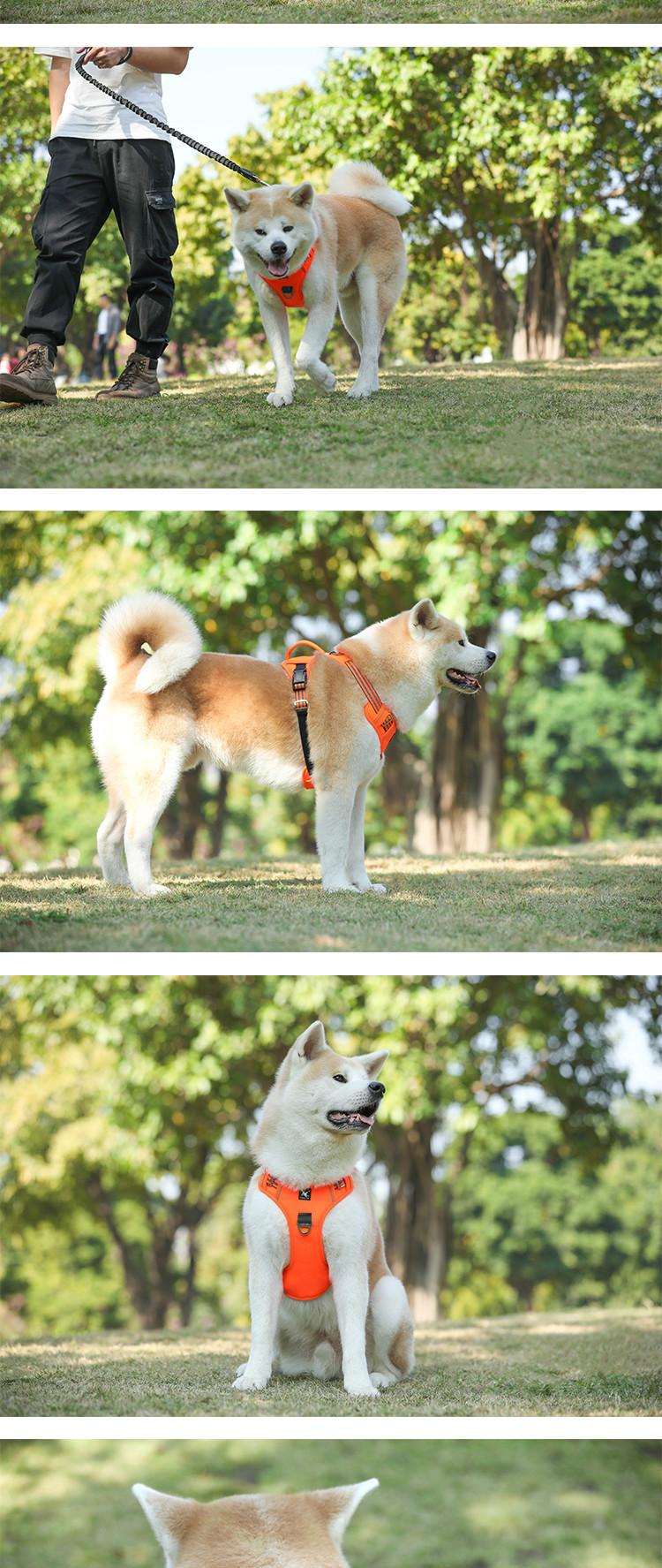 Pet Sports Chest Strap Vertical Handle Dog Traction Vest Explosion-Proof Pet Dog Hand Holding Rope Medium to Large Dogs Golden Retriever Dog Leash Walking Dog Adjustable Chest Strap