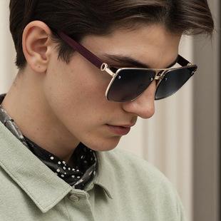 New Fashion Cat Eye Wide Arm Sunglasses for Women High-end Ins Style Wholesale Full Frame UV Protection Sunglasses