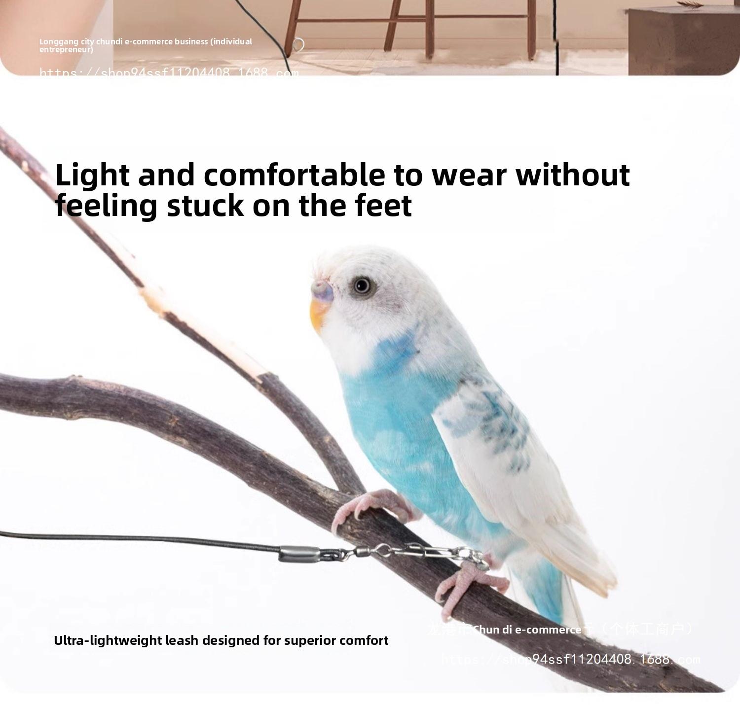 Parrot Leash for Outdoor Training Lightweight No-Foot Injury Bird Harness