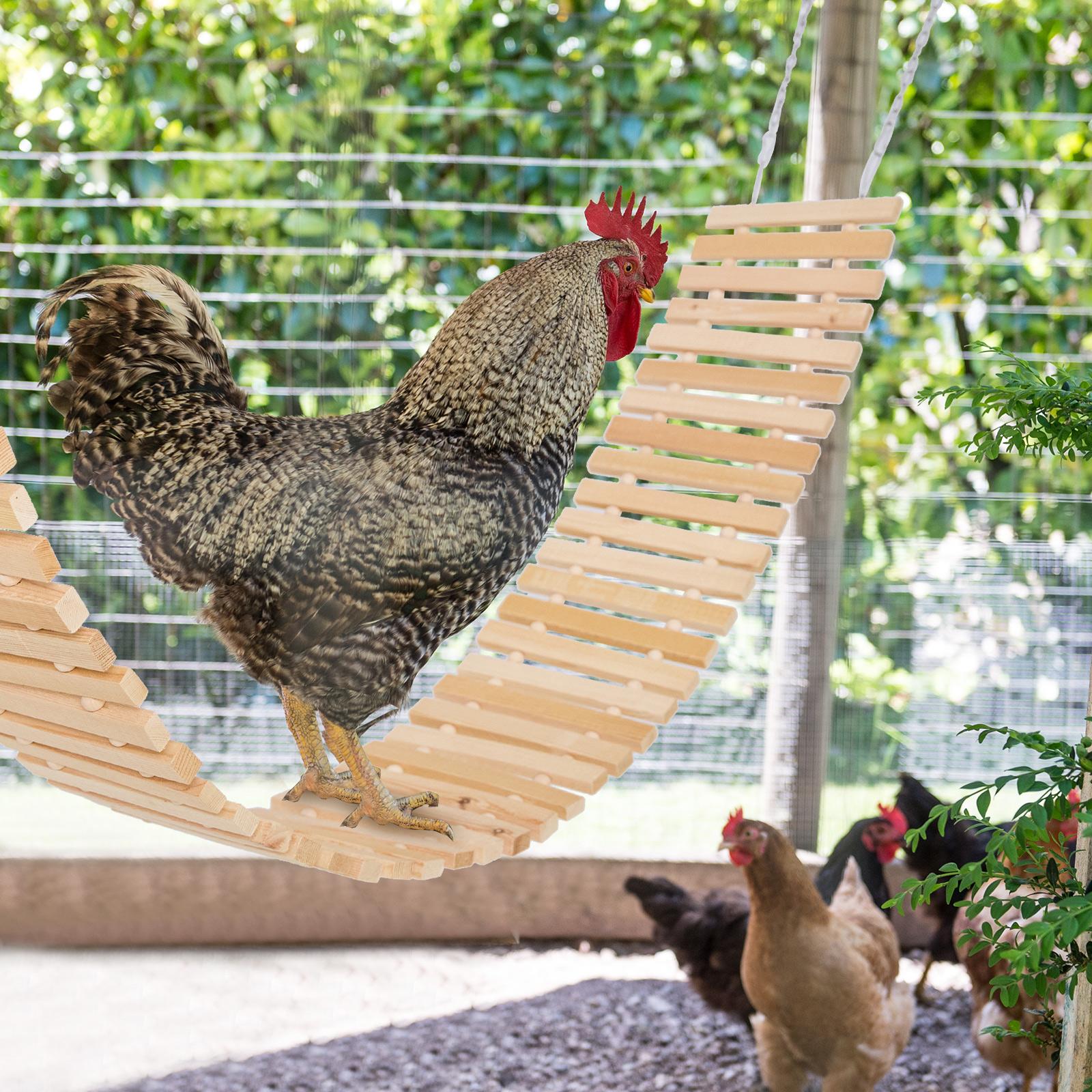 Outside Chicken Coop Toy Chicken Toys for Hens Natural Wood Chicken Ladder outdoor Chicken Swing Chicken Perch for Birds Poultry Rooster Chicks