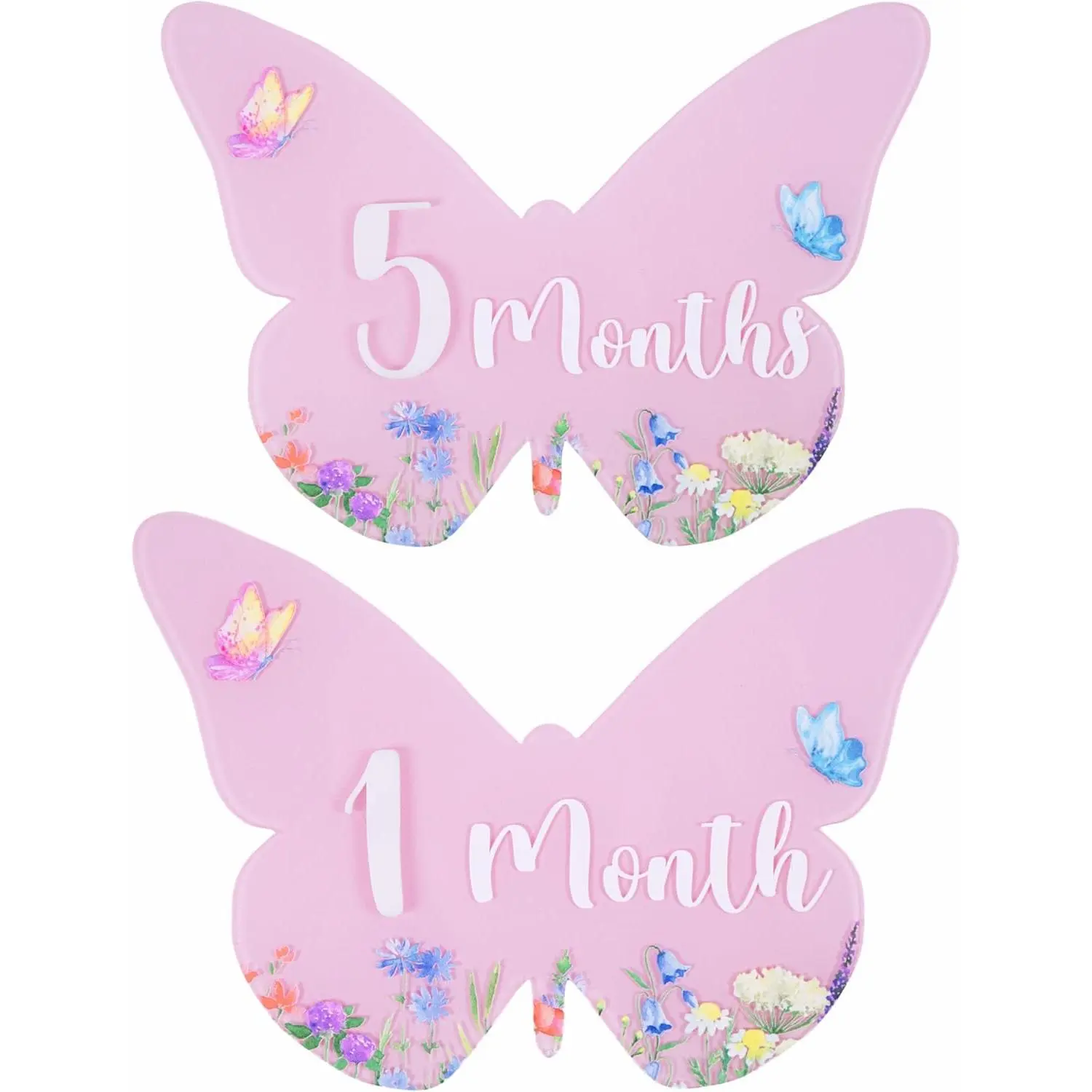 Monthly Milestone Cards -  Monthly Milestone Discs -  Photography Props to Document Your ´s Growth -  Announcement Sign (B12)