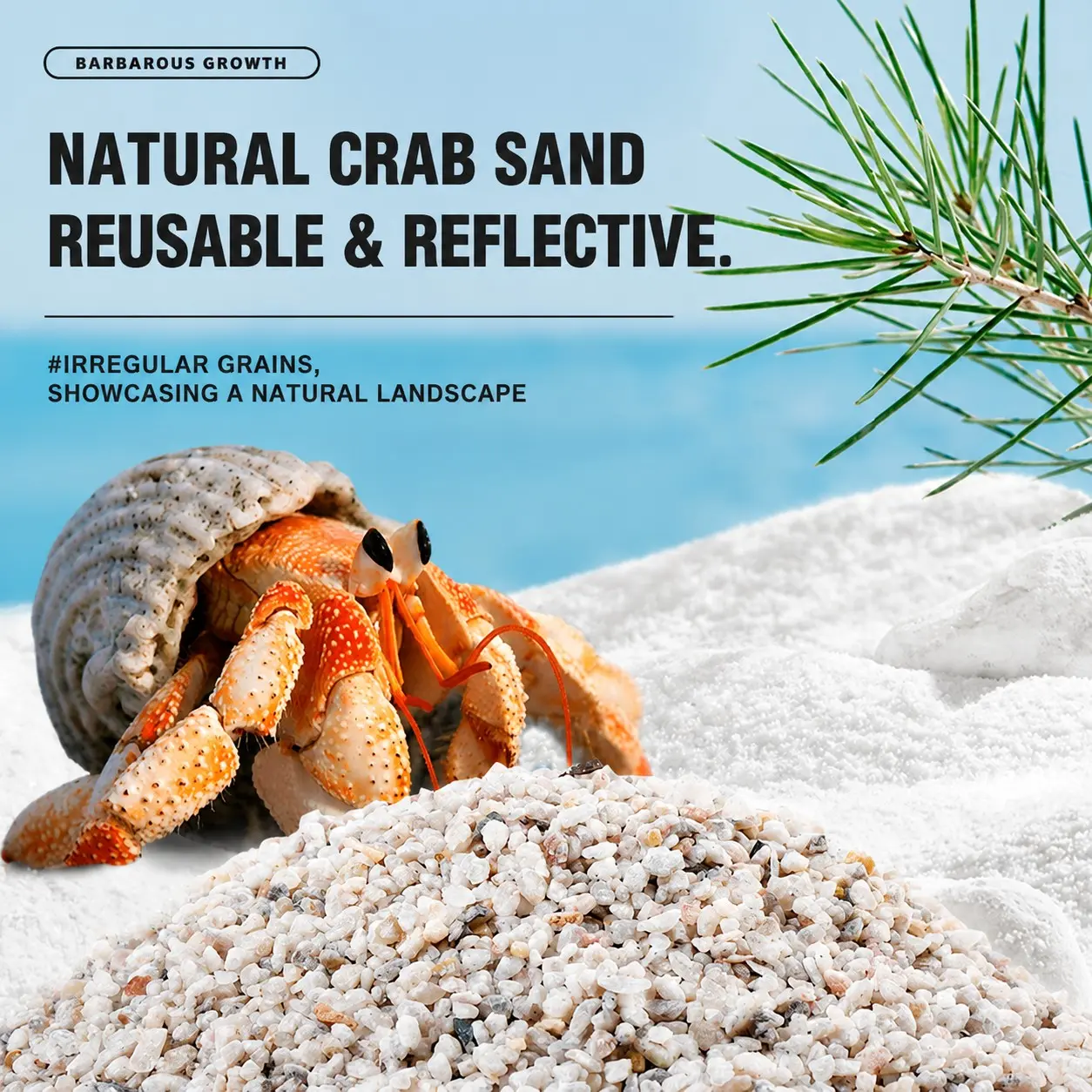 Hermit Crab Substrate Sand, Natural Coral Sand for Hermit Crabs, Clean Aquarium Decor Bottom Sand, Philippine Shell Sand