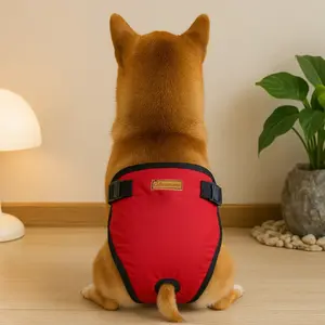 Thick Doggy Diaper Pants, Outdoor Walking Comfortable Pet Underwear, Anti-Harassment Safety Pants, Essential Pet Supplies