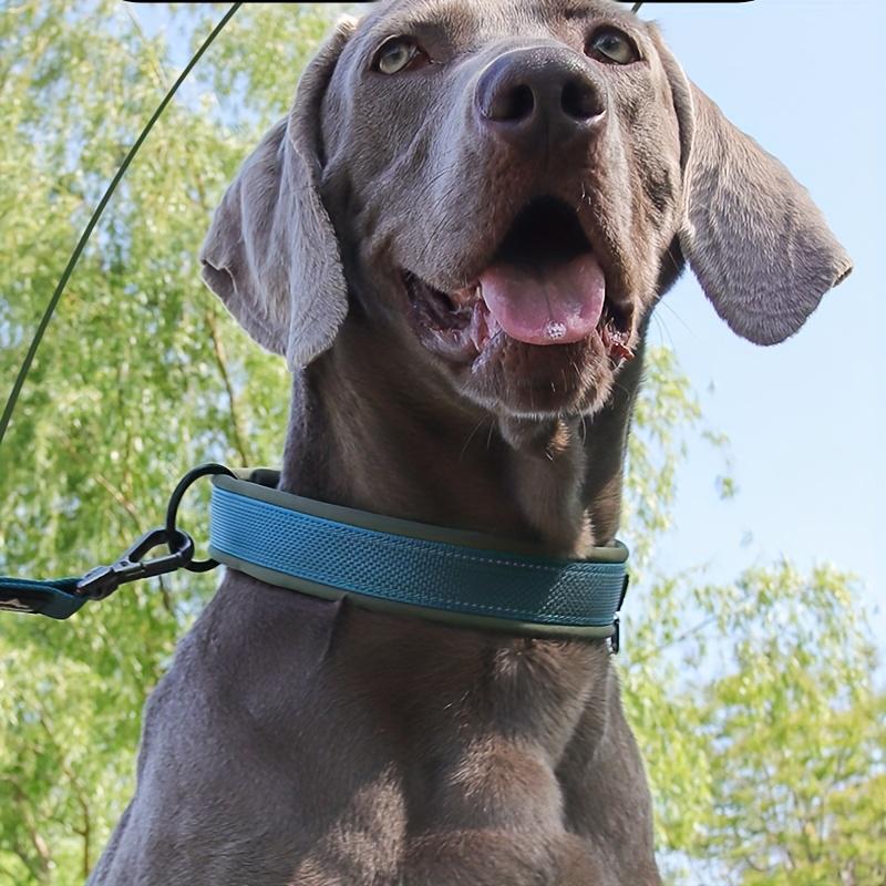 1 Reflective Adjustable Small Dog Collar - High-Quality Shockproof Safety Cartoon Pattern Polyester Pet Collar with Secure Buckle Suitable for Nighttime Walking and Daily Use, Durable and Designed for Safe Owners