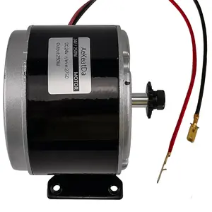 24V 250W Small Brushed Permanent Magnet Electric Motor Generator