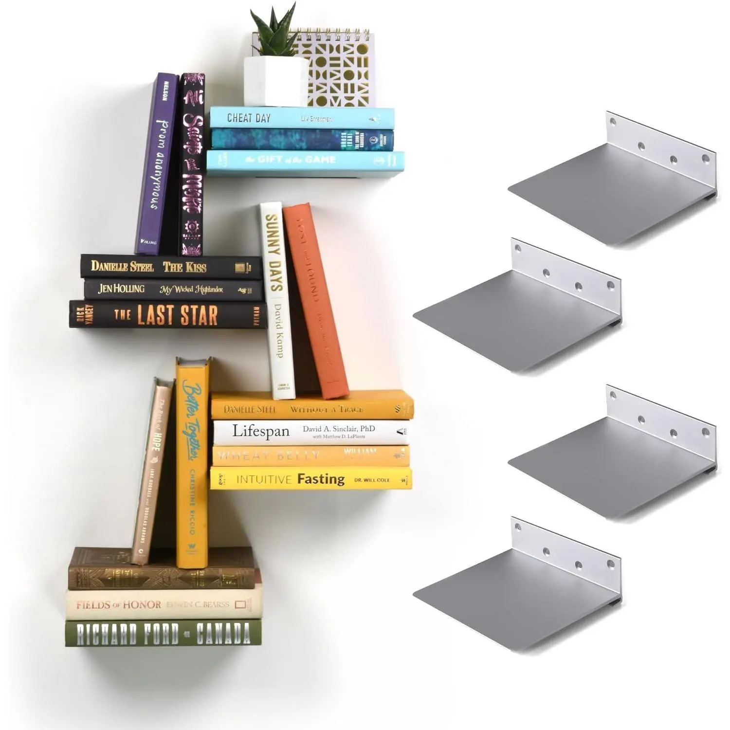 Floating Invisible Bookshelf Wall Mounted (Set of 4) - Aluminum - Turn Books into Floating ShelvesGift