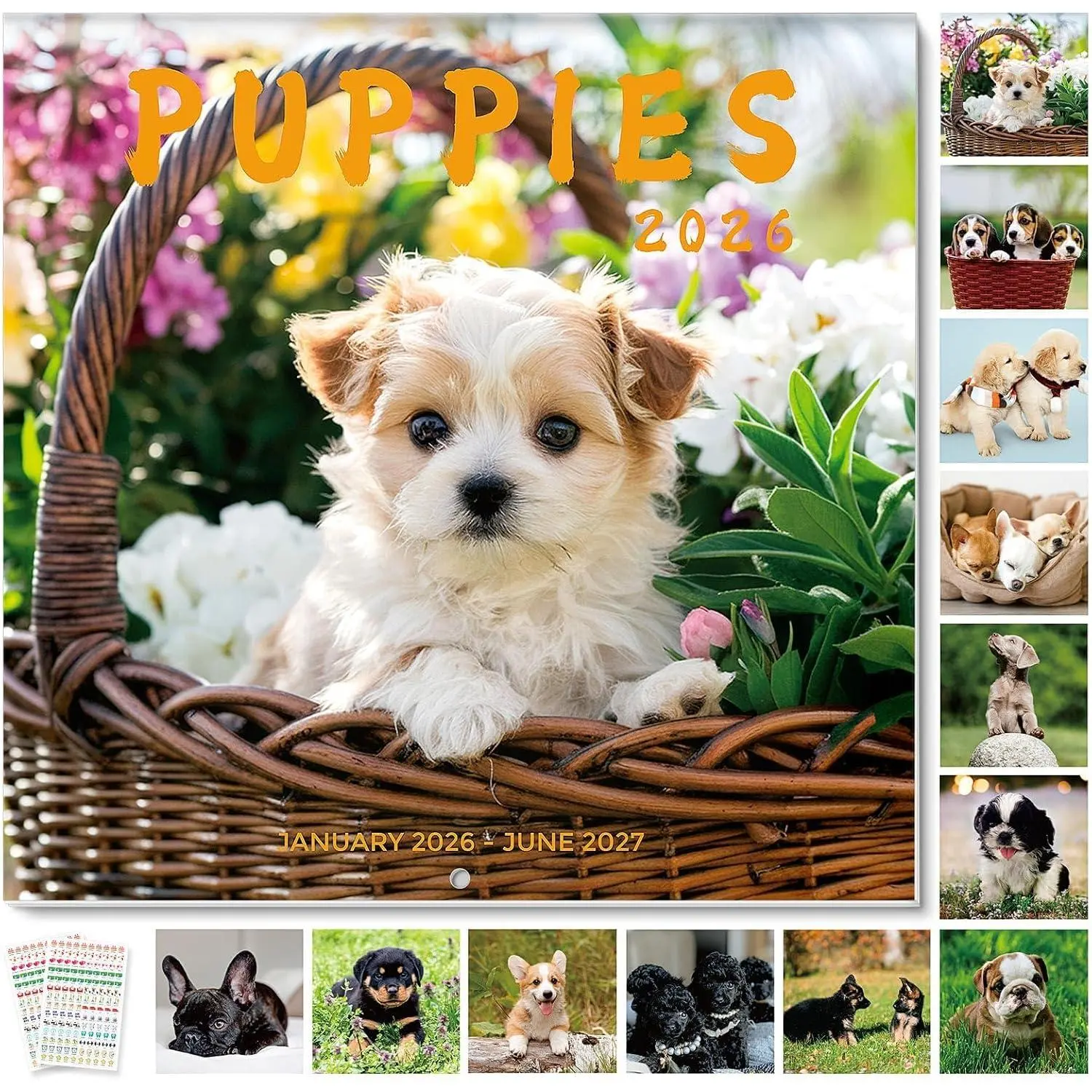 2026 Wall Calendar 12"x24" Opened, 18-Month Puppy  Calendar from January 2026 to June 2027 with Stickers, Thick Paper Monthly Calendar for  Office Organizing & Planning