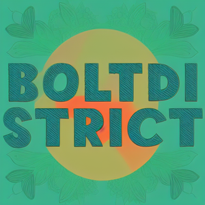 BoltDistrict
