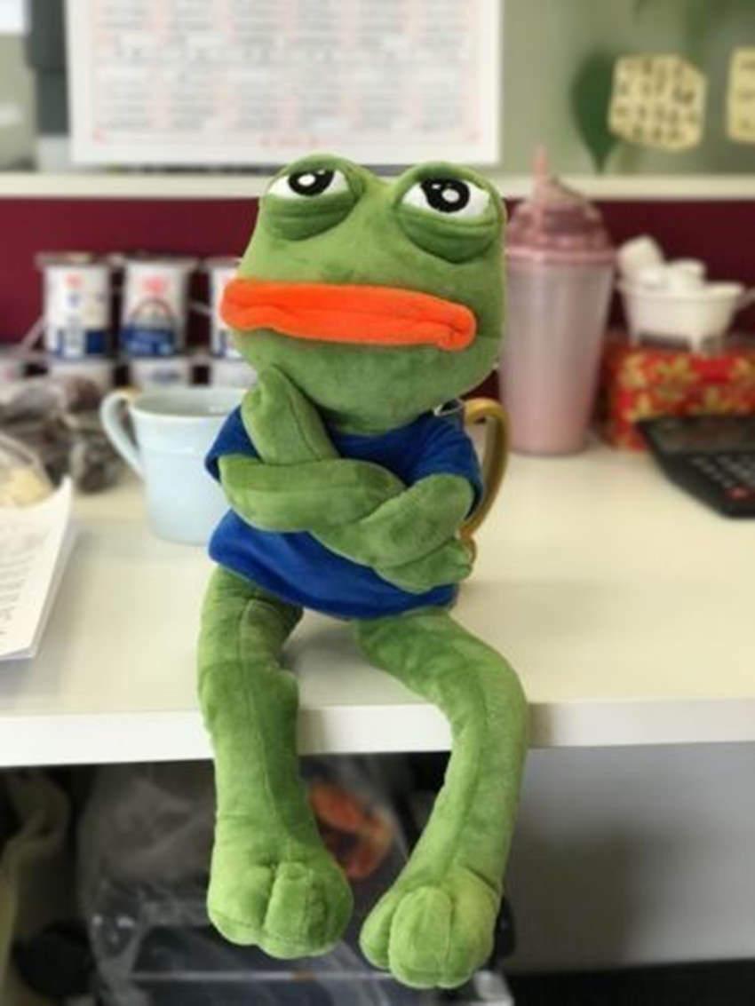 Pepe the Frog Plush Toy, Soft Sad Frog Meme Stuffed Doll, Cute Internet Sensation Plushie Gift for Meme Lovers & Kids