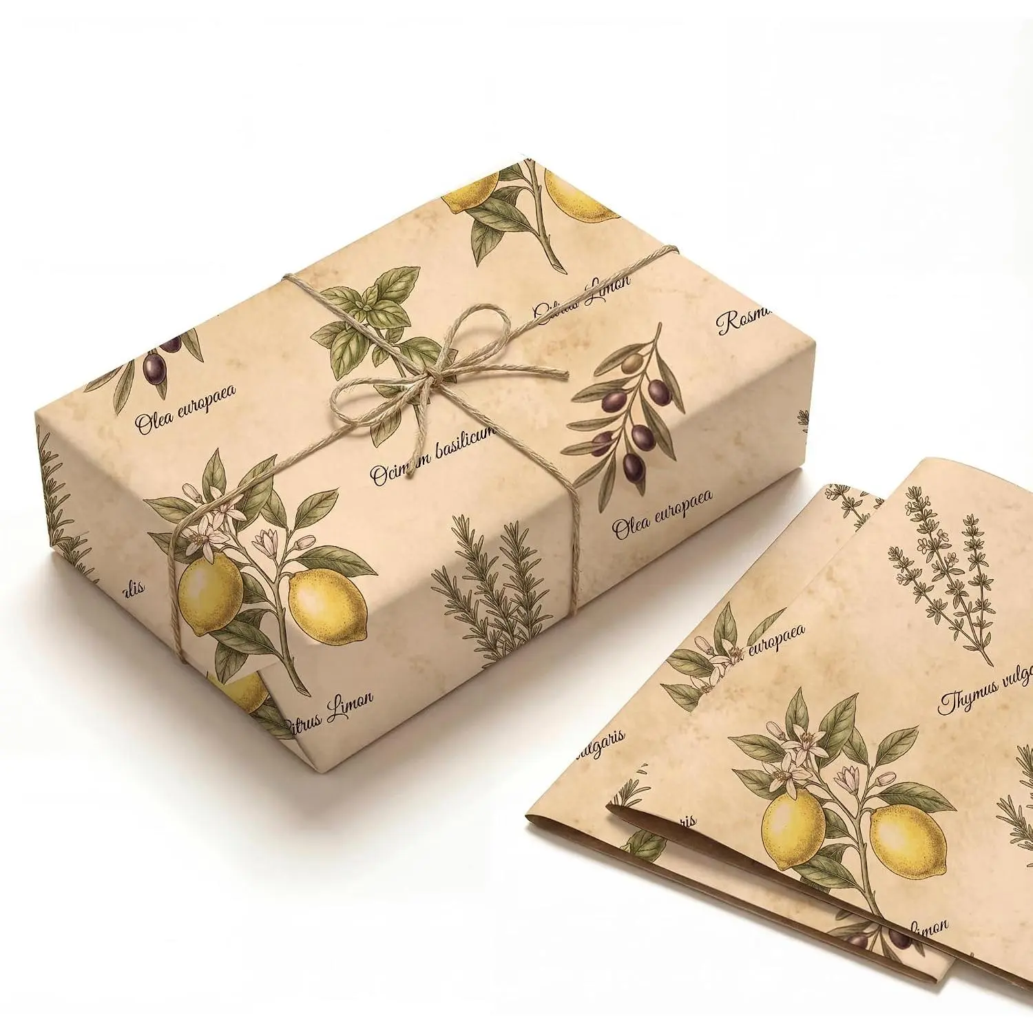 Botanical  Wrapping Paper, 19.6 x 27.5 in, 2 Sheets | 120gsm folded paper with   botanical artwork for gardening lovers, rustic weddings, birthdays, hostess gifts, and