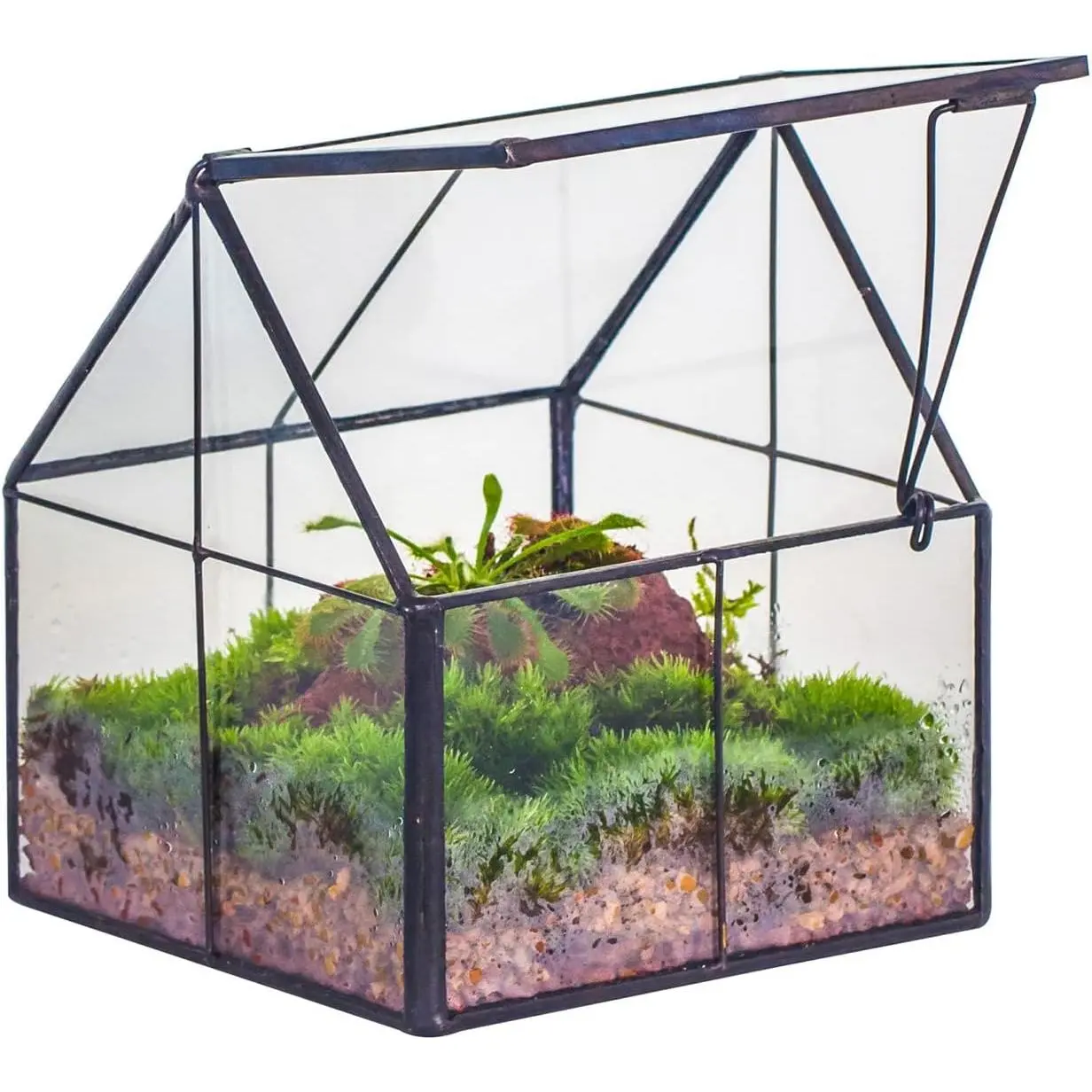 Mini Glass Terrarium with Lid - 4.25" x 4.25" x 4.92" Small House Shape Close Geometric Planter Pot for Mini Succulents Plant - Handmade, Home Garden Office Decor, Black (Terrarium Only)