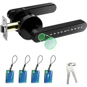 Fingerprint Door Lock Biometric Door Knob with Keypad Keyless Entry, Door Locks  Bedrooms, Home Hotel Office Apartment Black