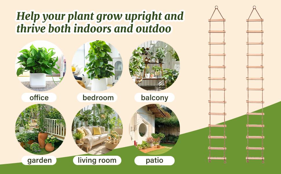 Chain Trellis for Climbing Plants Indoor – Natural Wood Ladder Style Plant for Vines, for Pothos & Ivy, Stylish for Home & Use, Indoor/