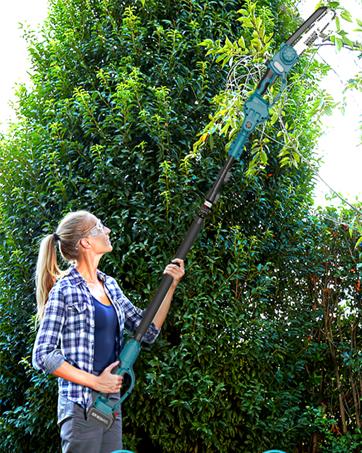 2 in 1 Cordless 8 inch Pole Saw, SeeSii Power Electric Polesaw for Tree Trimming with 2X4.0Ah batteries, Chain Saw with Extension Pole, Limb Branch Cutter Pruner CH800B #TikTokShopBlackFriday