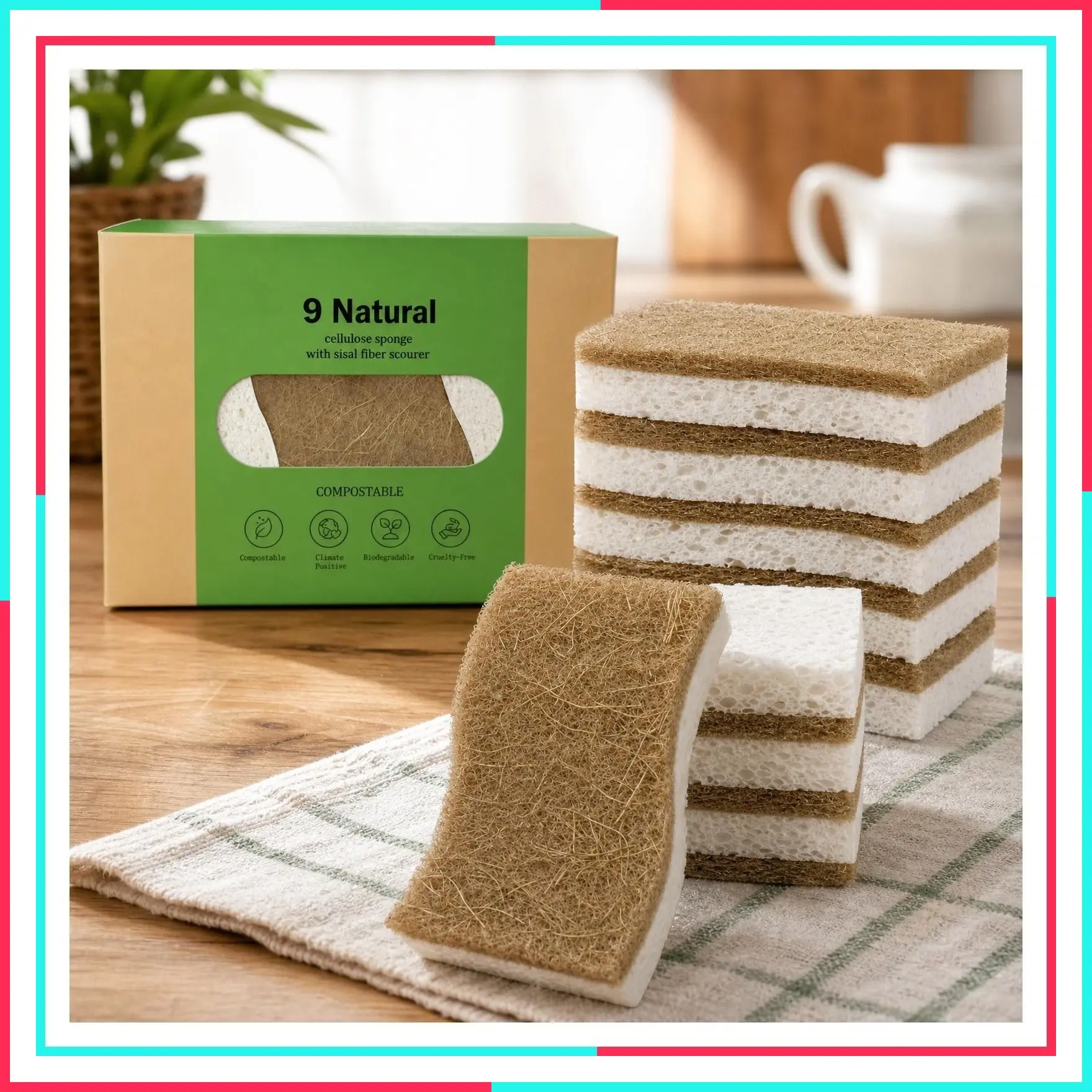 9 Pack Biodegradable Kitchen Sponges - Compostable Cellulose & Coconut Walnut Scrubber, Eco-Friendly Natural Dish Sponges