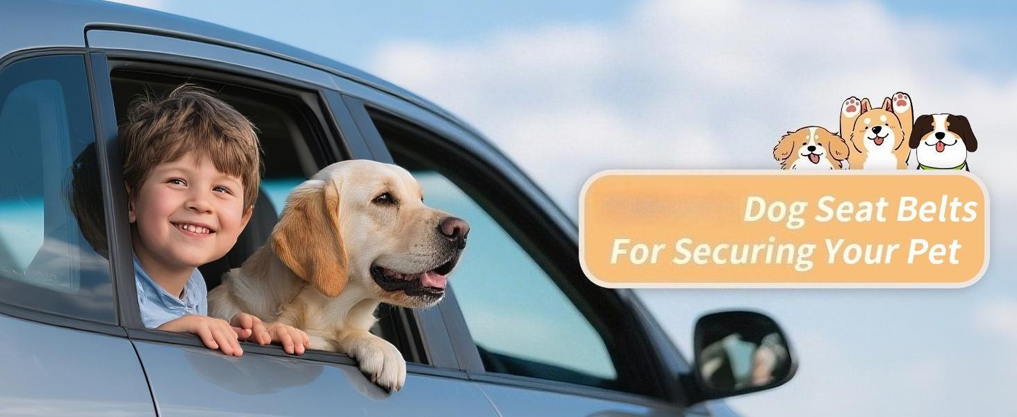Dog Car Seat Belt – Adjustable Safety Harness with Elastic Cushioning, Anti-Tangle Design, Reinforced Metal Buckle, for Small and Medium Pets (Black) Dog Car Seat Belt – Adjustable Safety Harness with Elastic Cushioning, Anti-Tangle Design, Reinforced Metal Buckle, for Small and Medium Pets (Black)