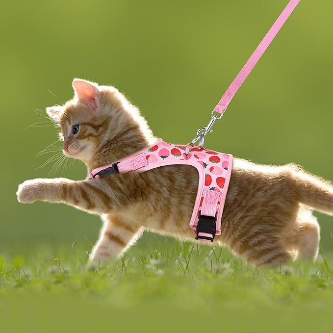 Cat Harness & Leash Set with Quick Release, Breathable Mesh – Pet Vest Harness for Small Pets (Kitties, Puppies) for Outdoor Walks, X-Small DIY Metal Playpen with Skylight