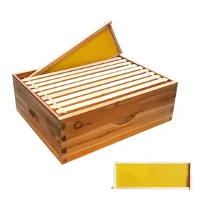 10-Frame Wax Coated Bee Hives Medium Super Box, Langstoth Honey Super Bee Box Dipped In 100% Beeswax Includes Beehive Frames and Waxed Foundations for Beekeeping Supplement