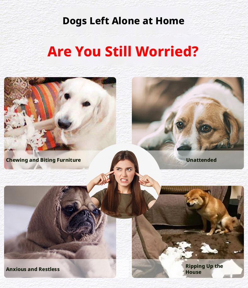 Interactive Dog Toy Rolling Sound Ball, Squeaky Giggle Ball for Dogs, Durable Chew Toy for Teeth Grinding, Boredom Relief & Self-Play for Puppies & Medium Dogs